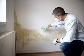 Best Crawl Space Mold Remediation  in Mono Vista, CA